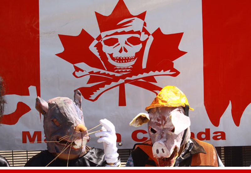mineras canadienses