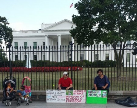 José Luis Ávila, esposo de la Comandante Nestora, frente a la Casa Blanca en huelga de hambre. Foto: Saira Rodríguez